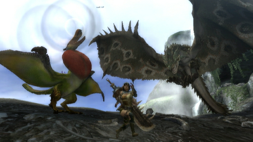 Monster Hunter Tri (3) - Imagen 19